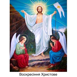 Алмазная мозаика 40х50см.